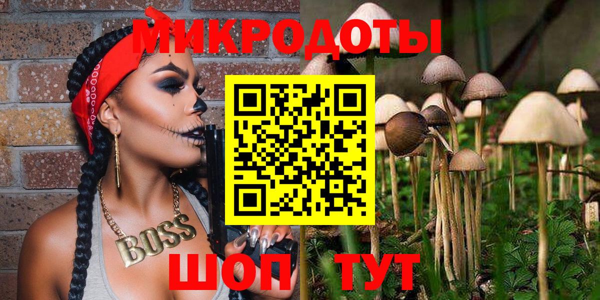 Псилоцибиновые грибы Cubensis  купить  цена  Усть-Лабинск  Вход с VPN 