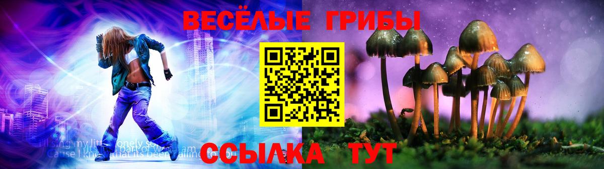 Псилоцибиновые грибы GOLDEN TEACHER Усть-Лабинск